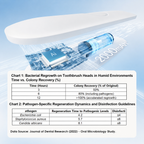 iHave Toothbrush Sanitizer Portable Travel Case for Electric Toothbrushes