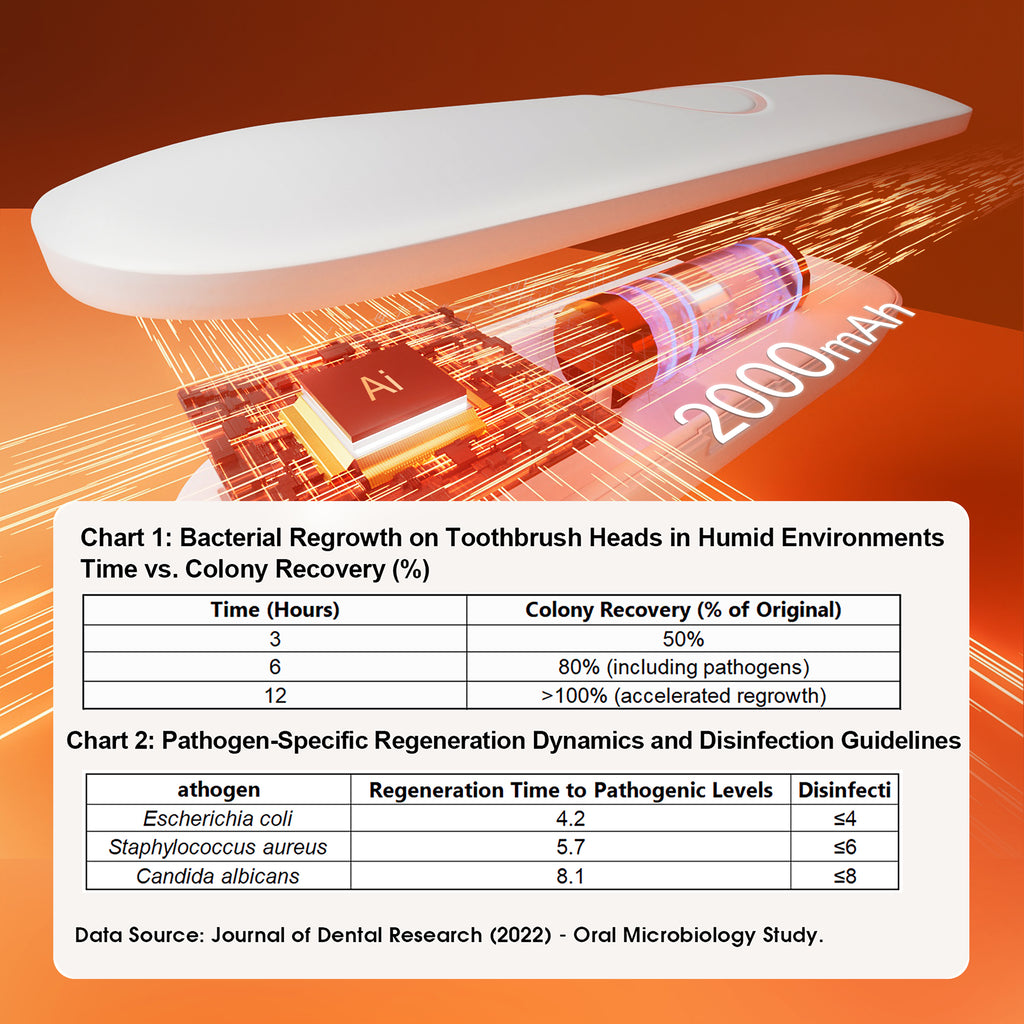 Electric Smart Sanitizing Toothbrush Case Travel Box 99.99% Sterilization Rate USB Type-C Charging UVC Toothbrush Holder